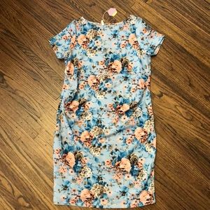 Pink Blush Maternity Dress